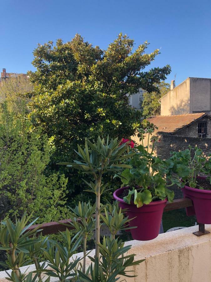 قرقشونه B&B - Le Jardin Du Palais المظهر الخارجي الصورة